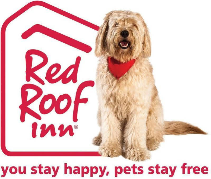 Red Roof Inn Cleveland Airport - מידלברג הייטס מראה חיצוני תמונה